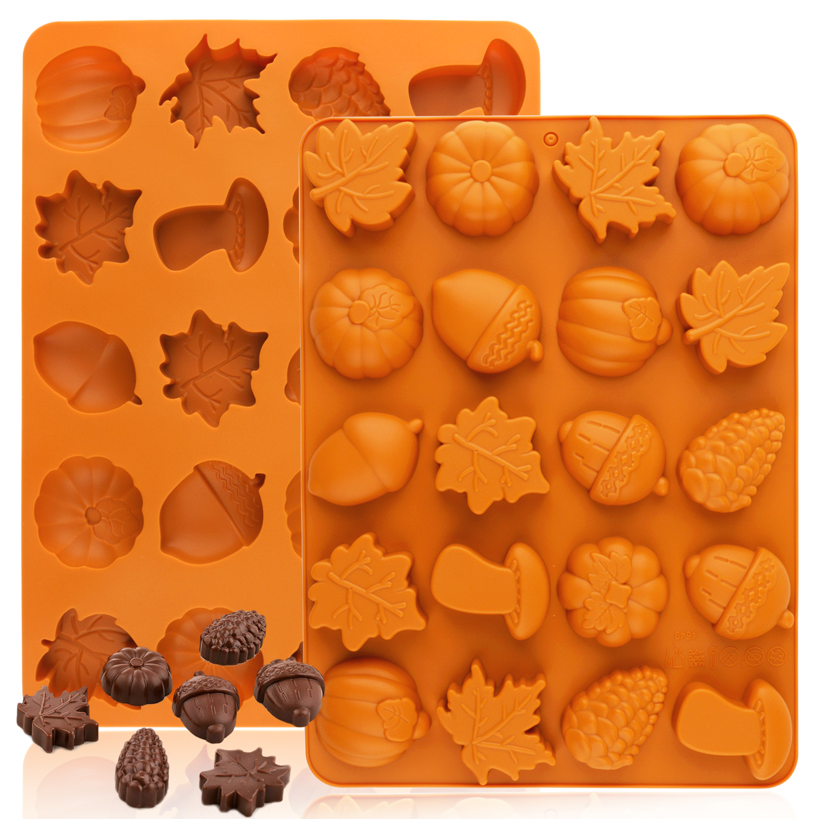 Soap Making Workshop - Harvest Silicone Baking Mold with Various